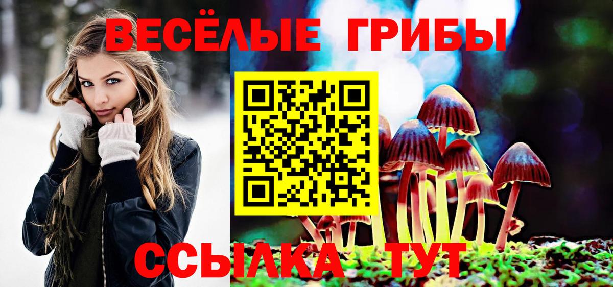 Галлюциногенные грибы MAGIC MUSHROOMS Пушкино